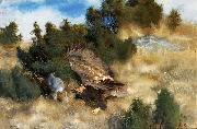 bruno liljefors orn jagande hare oil painting